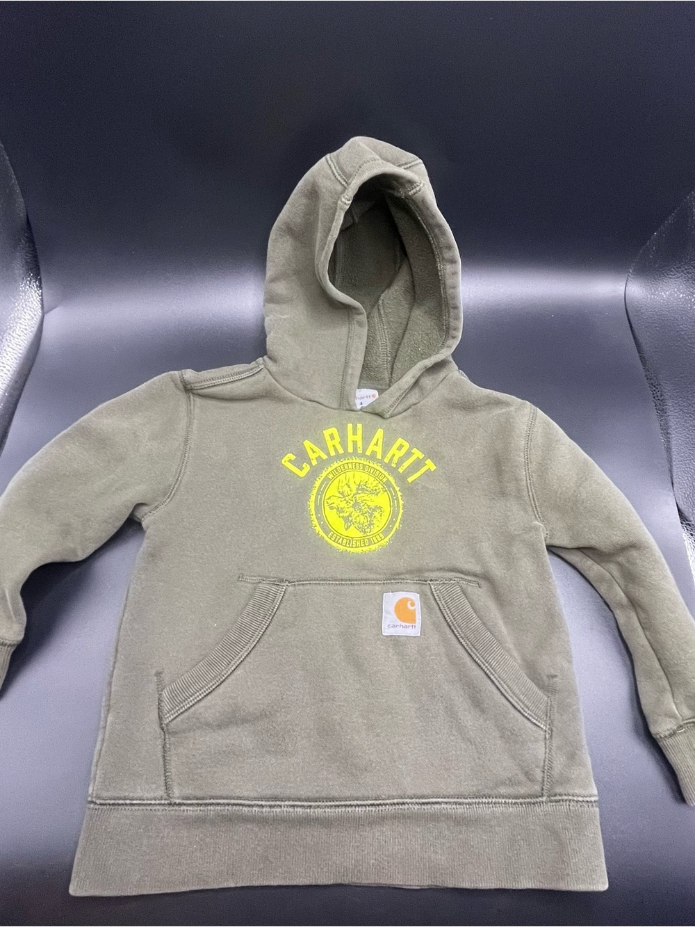 Carhartt Child Toddler 4 Olive Green Graphic Pullover Hoodie Pockets Unisex
